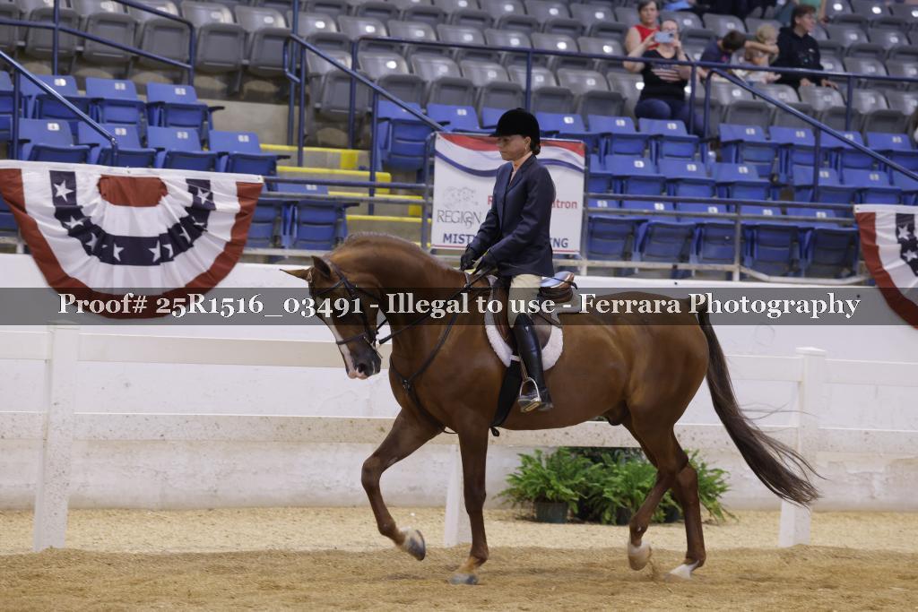 Proof 25R1516_03491