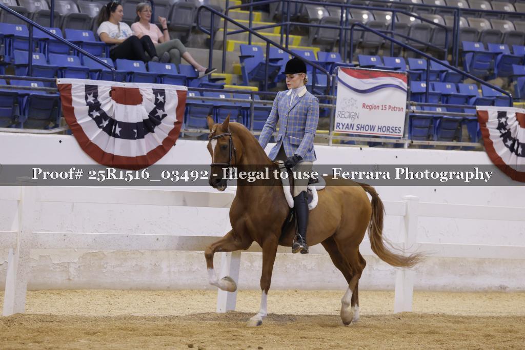 Proof 25R1516_03492