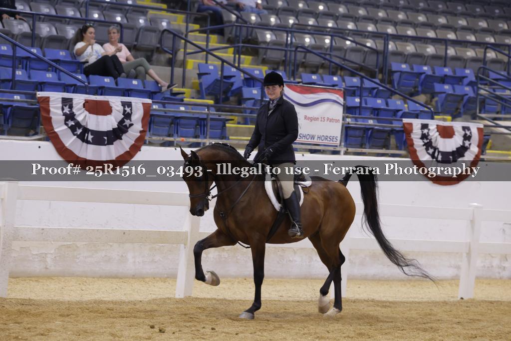 Proof 25R1516_03493