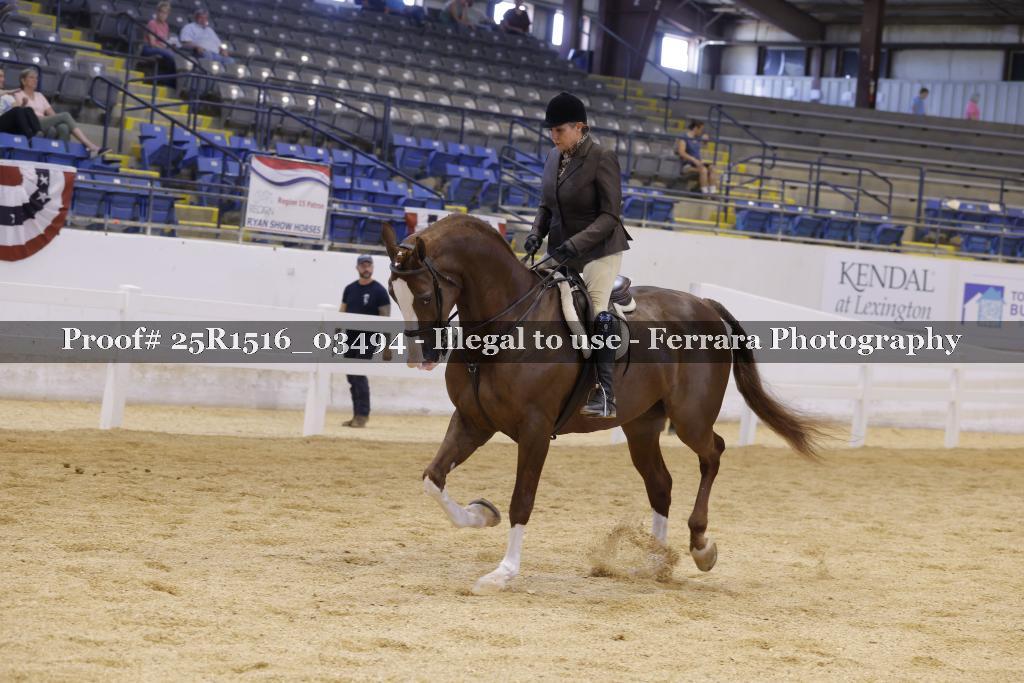 Proof 25R1516_03494