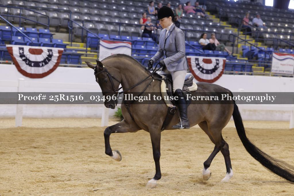 Proof 25R1516_03496