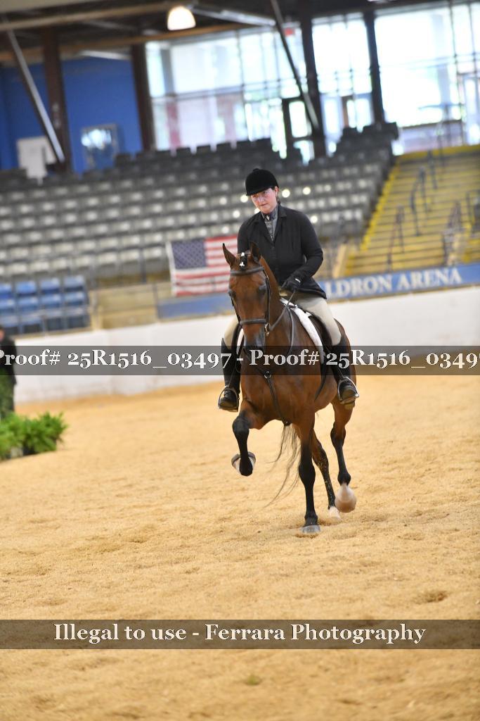 Proof 25R1516_03497
