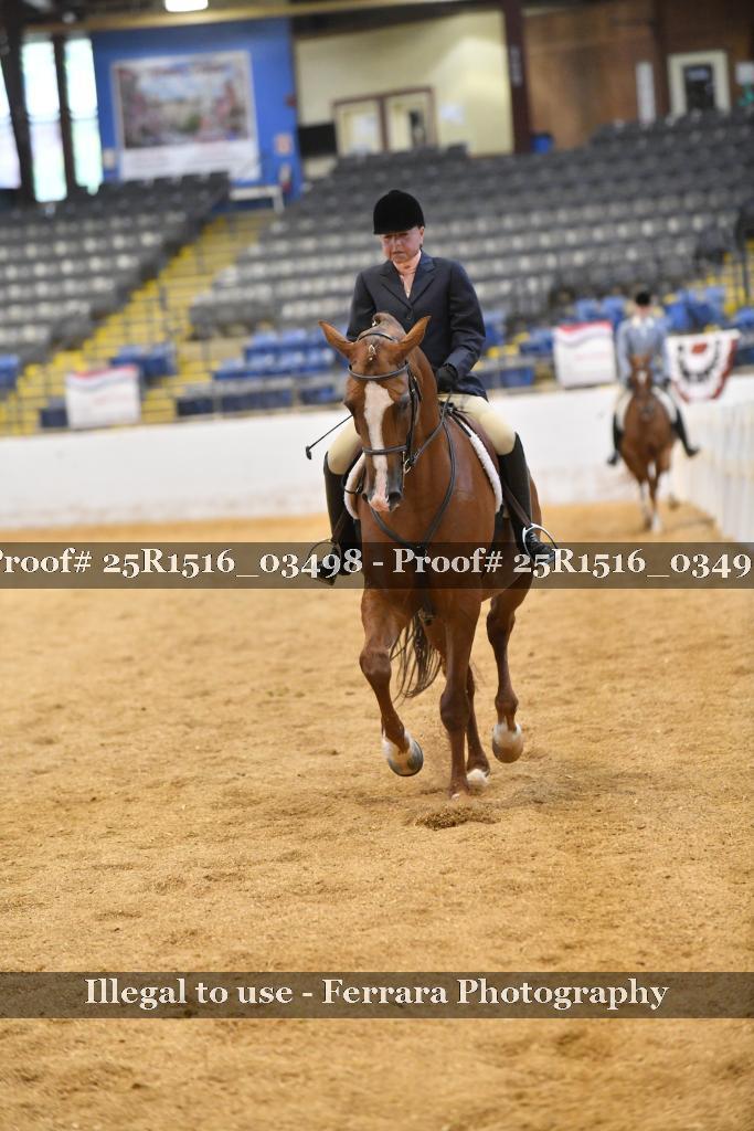 Proof 25R1516_03498