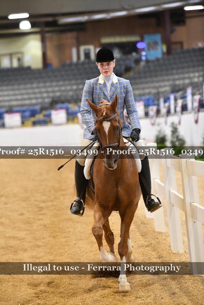 Proof 25R1516_03499