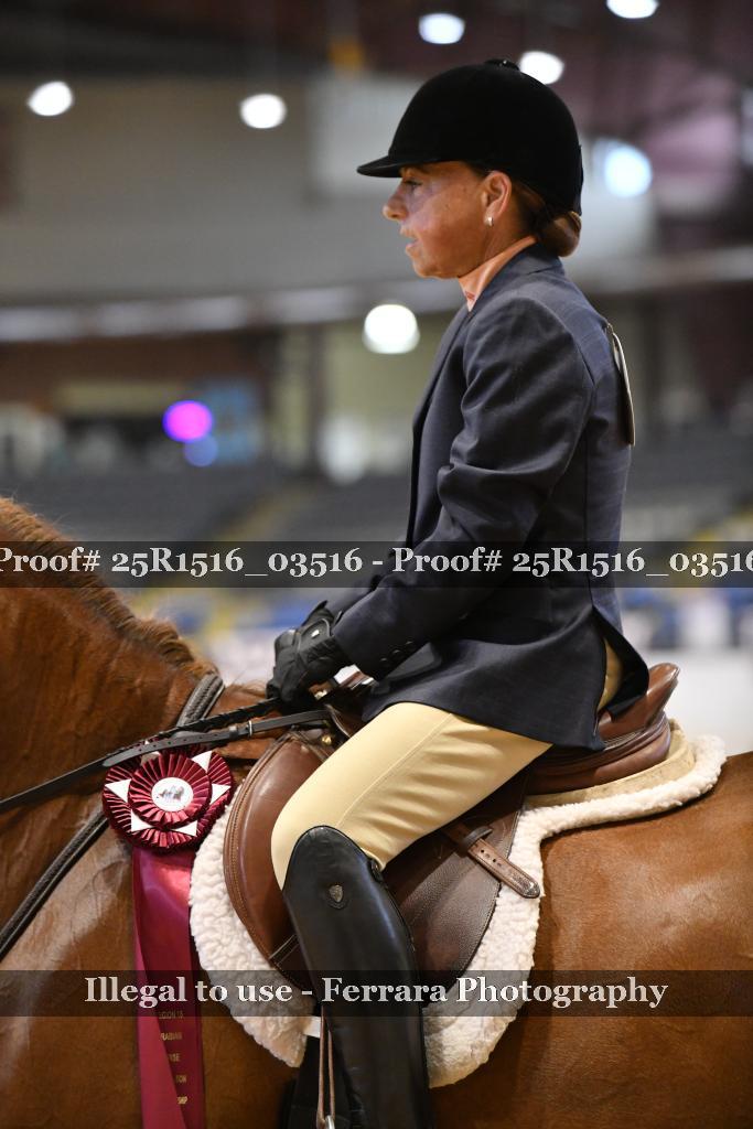 Proof 25R1516_03516
