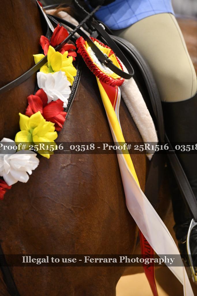 Proof 25R1516_03518