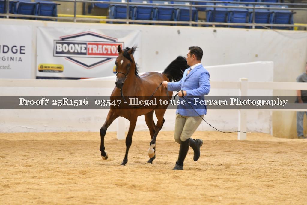 Proof 25R1516_03547