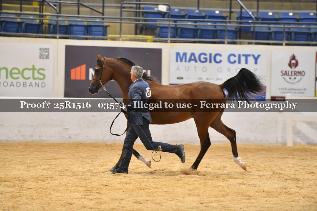 Proof 25R1516_03574