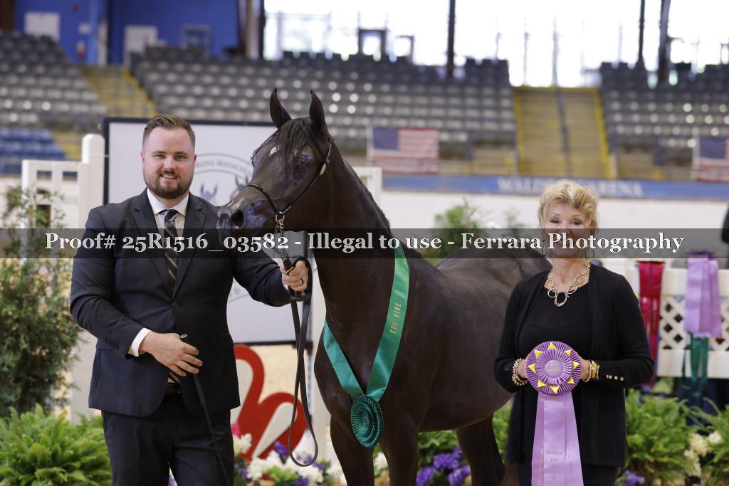 Proof 25R1516_03582