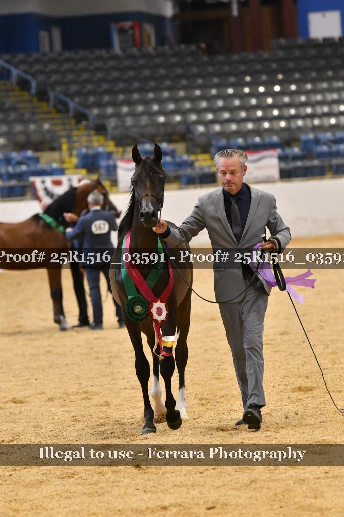 Proof 25R1516_03591