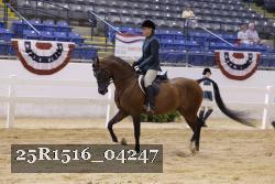 25R1516_04247 proof