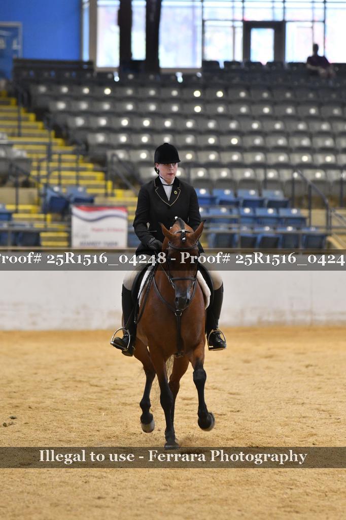 Proof 25R1516_04248