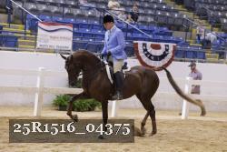 25R1516_04375 proof