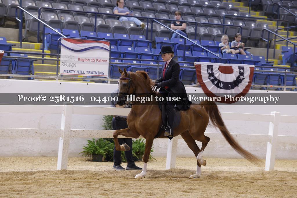 Proof 25R1516_04400