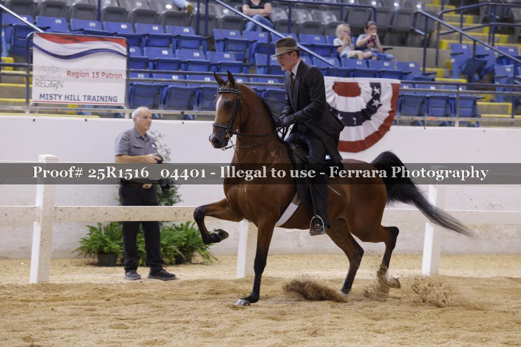 Proof 25R1516_04401