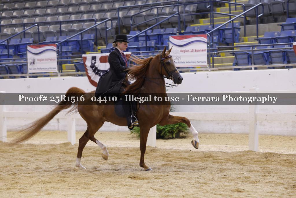 Proof 25R1516_04410