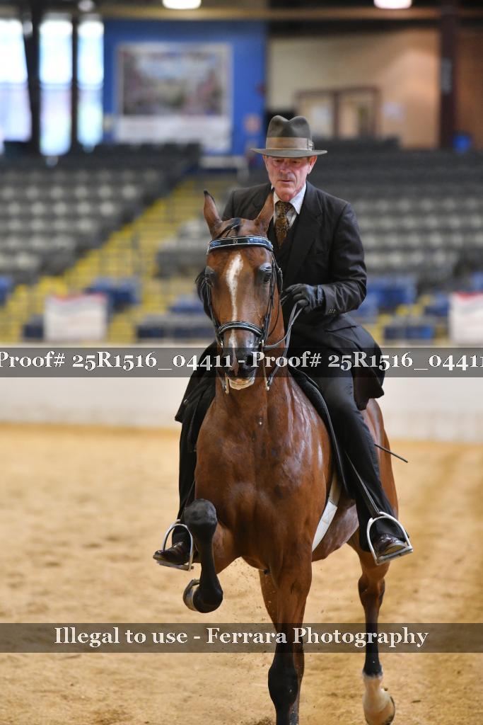 Proof 25R1516_04411