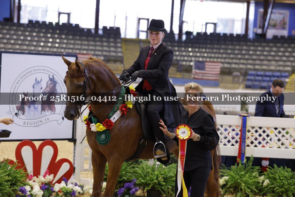 Proof 25R1516_04412
