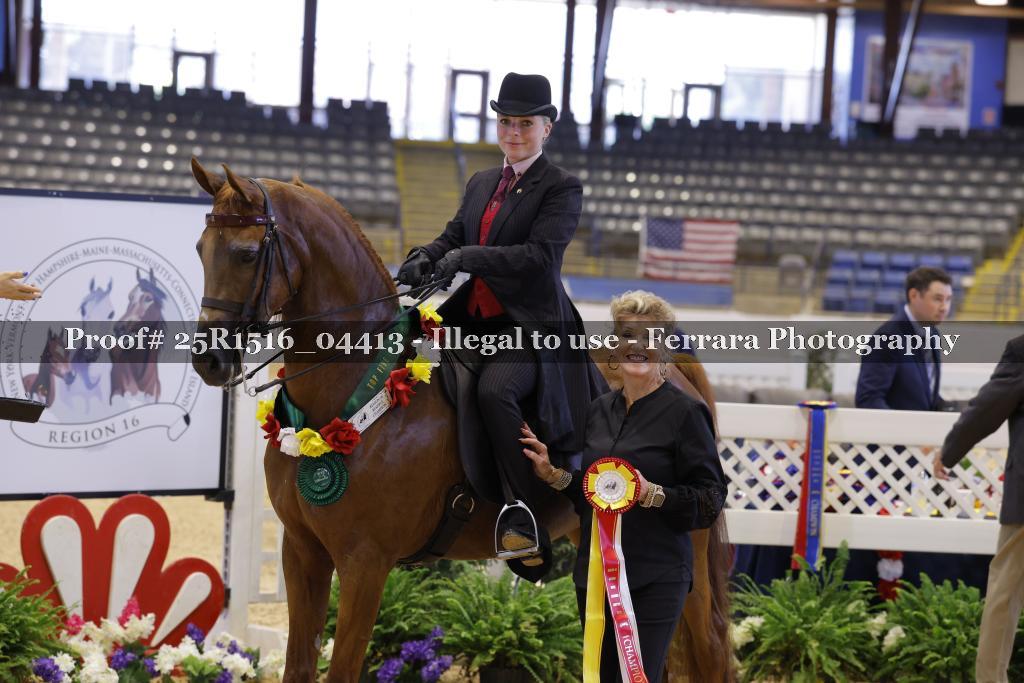 Proof 25R1516_04413