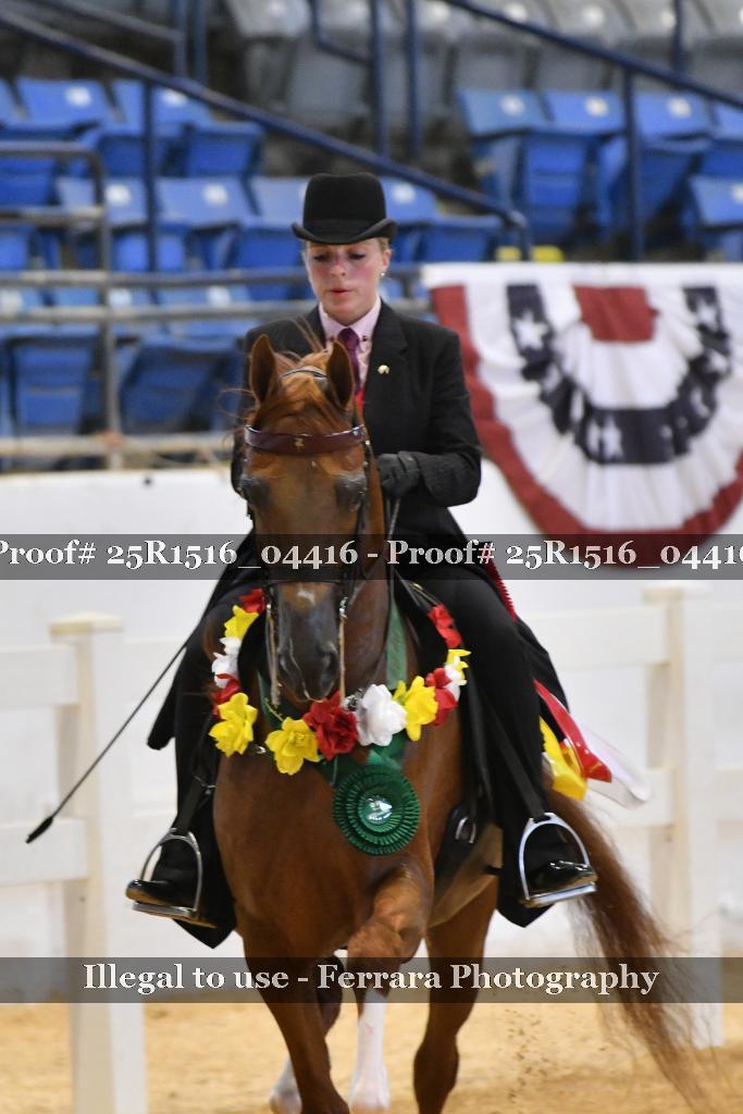 Proof 25R1516_04416