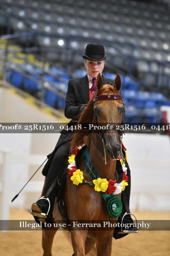 Proof 25R1516_04418