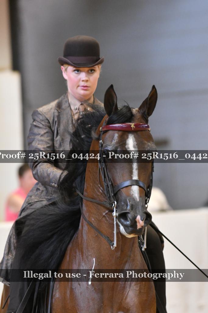 Proof 25R1516_04424