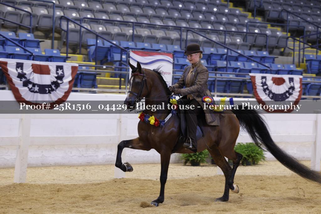 Proof 25R1516_04429