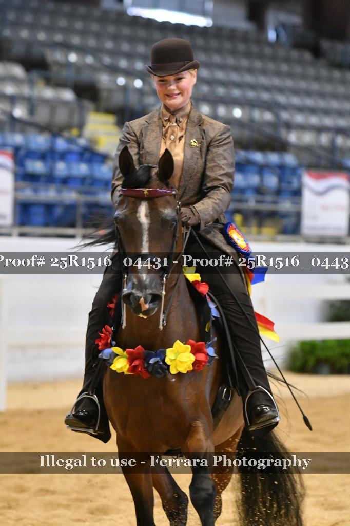 Proof 25R1516_04431