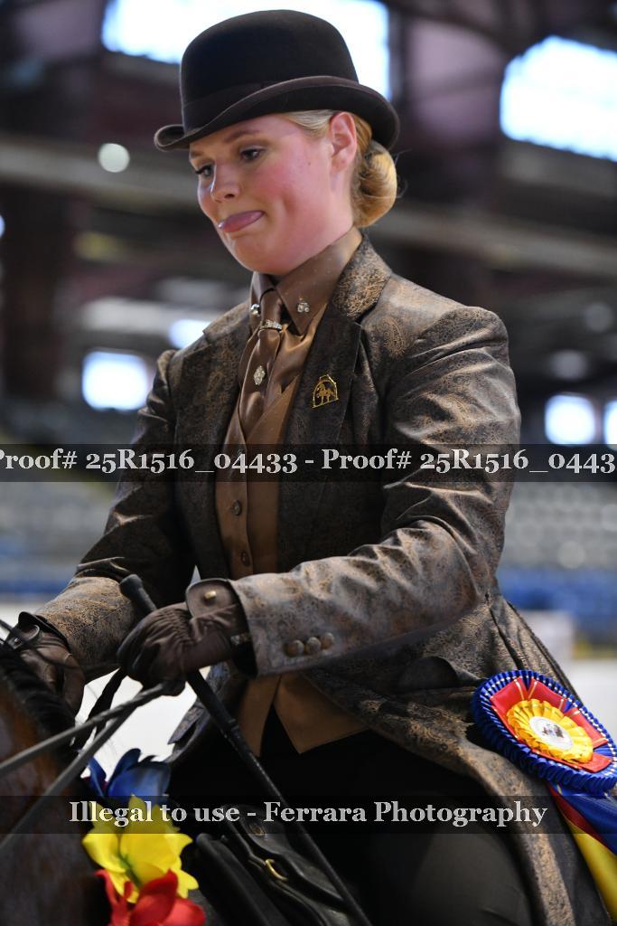 Proof 25R1516_04433