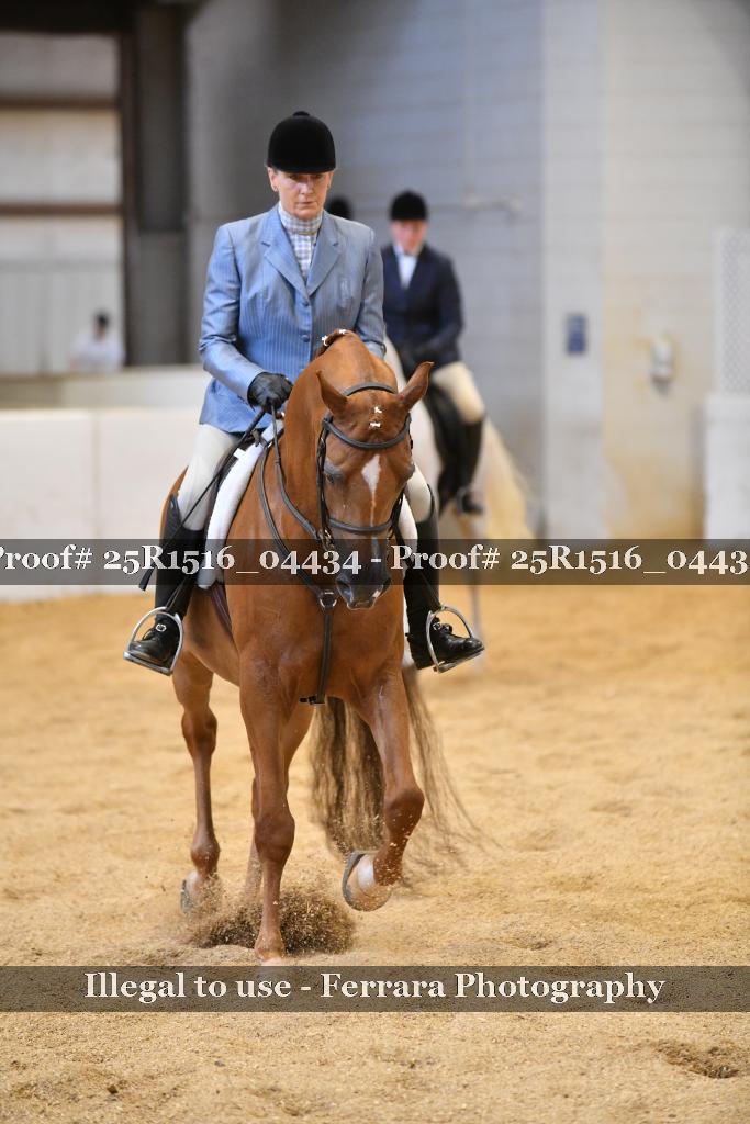 Proof 25R1516_04434