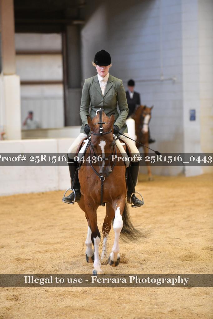 Proof 25R1516_04436