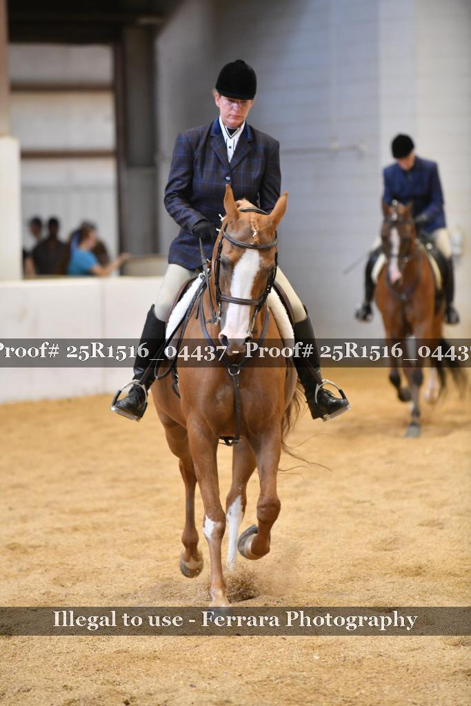 Proof 25R1516_04437