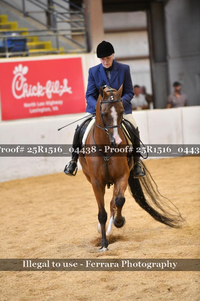 Proof 25R1516_04438