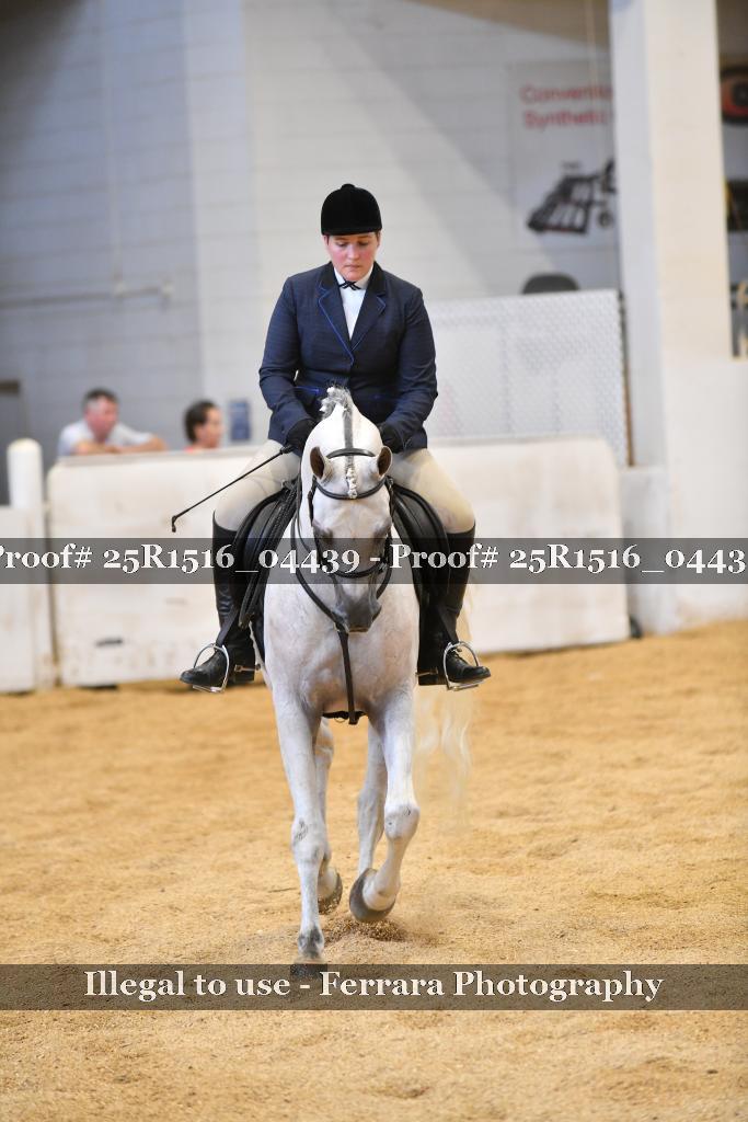 Proof 25R1516_04439