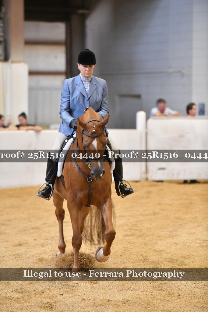 Proof 25R1516_04440