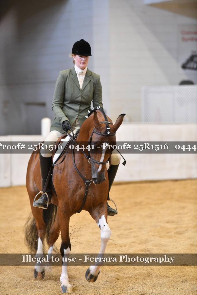 Proof 25R1516_04441