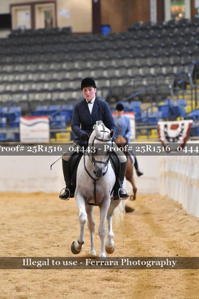 Proof 25R1516_04443