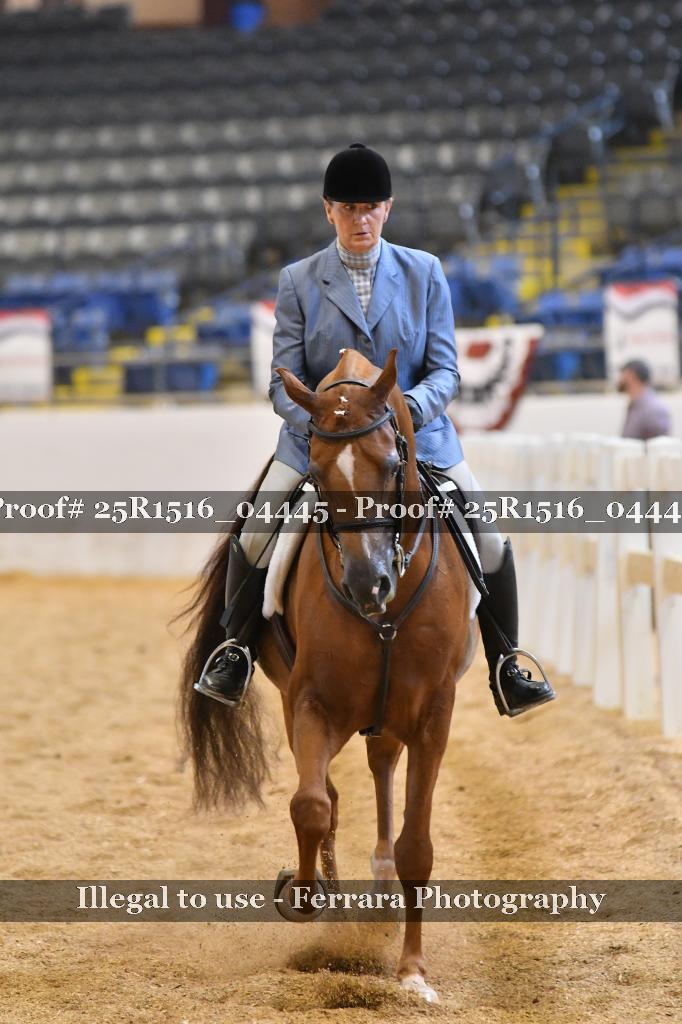 Proof 25R1516_04445