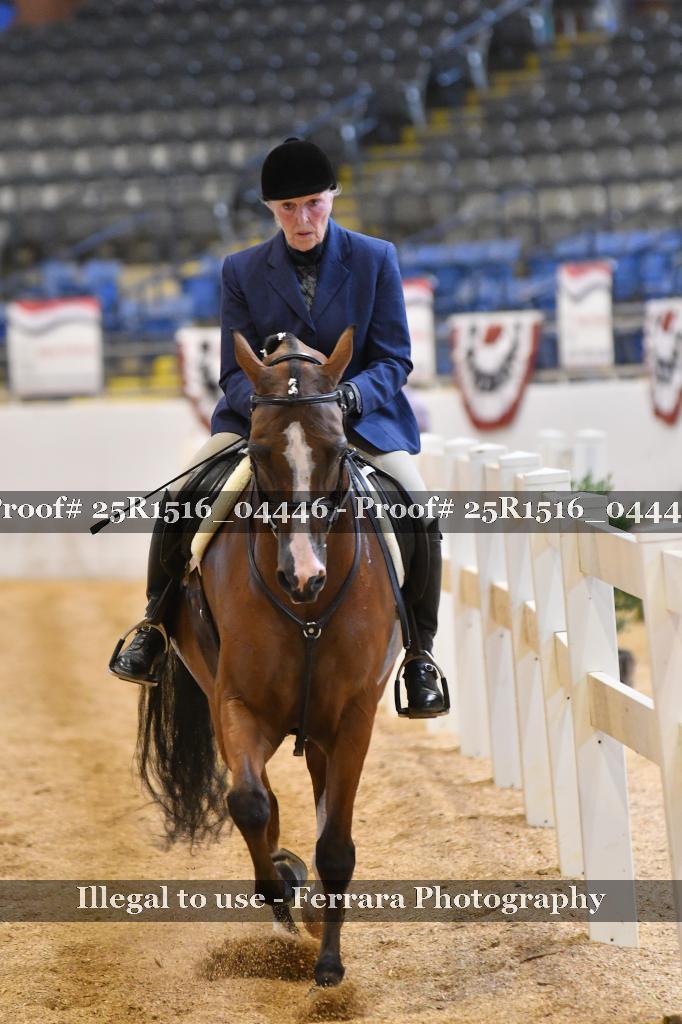 Proof 25R1516_04446