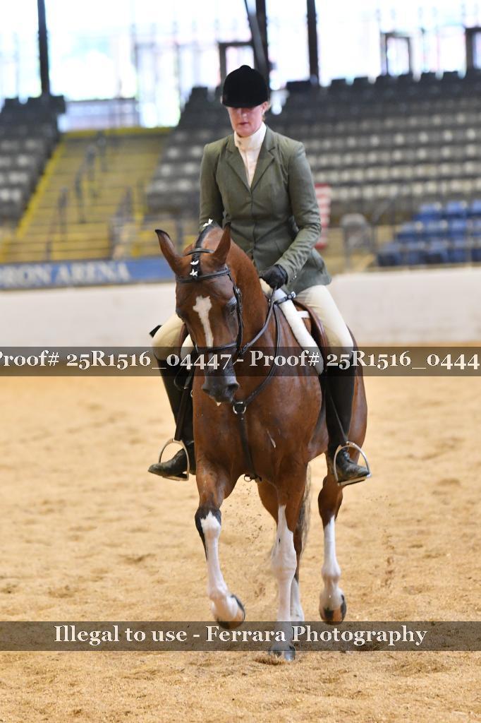 Proof 25R1516_04447