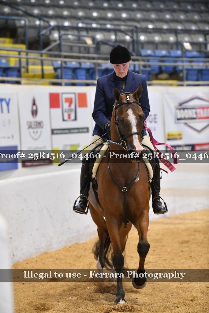 Proof 25R1516_04460