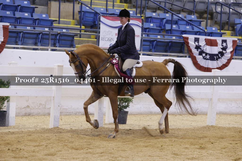 Proof 25R1516_04461