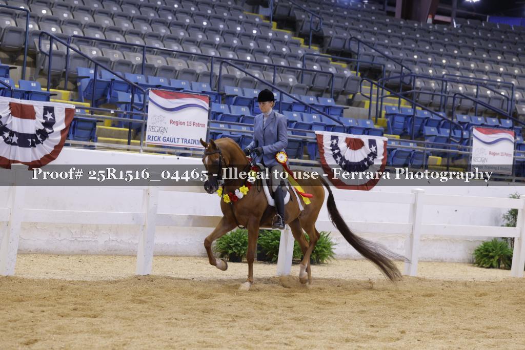 Proof 25R1516_04465