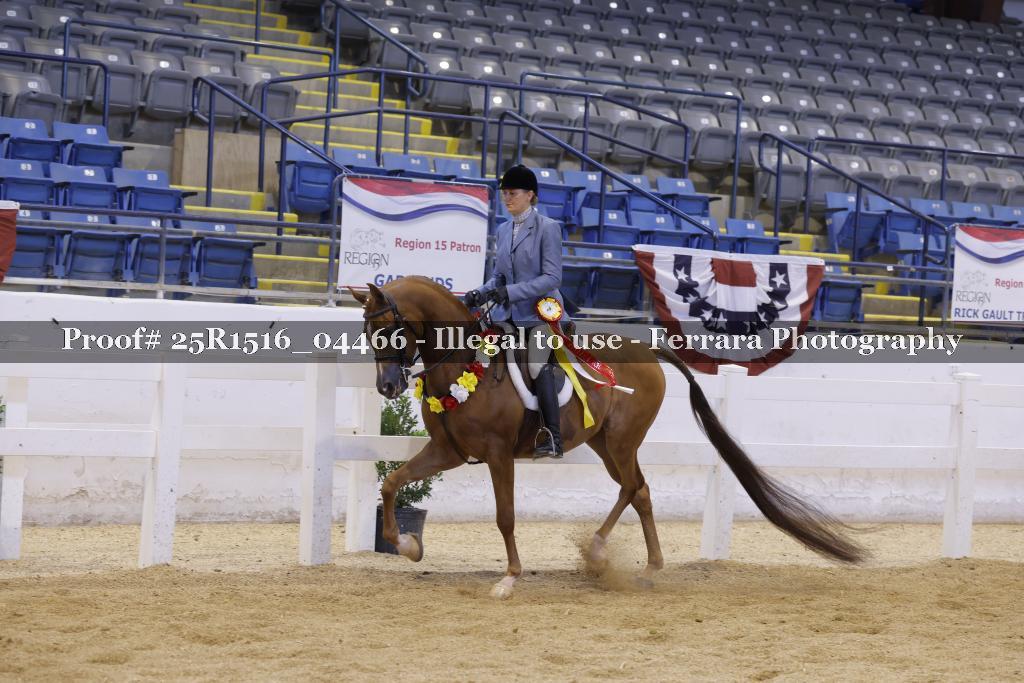 Proof 25R1516_04466