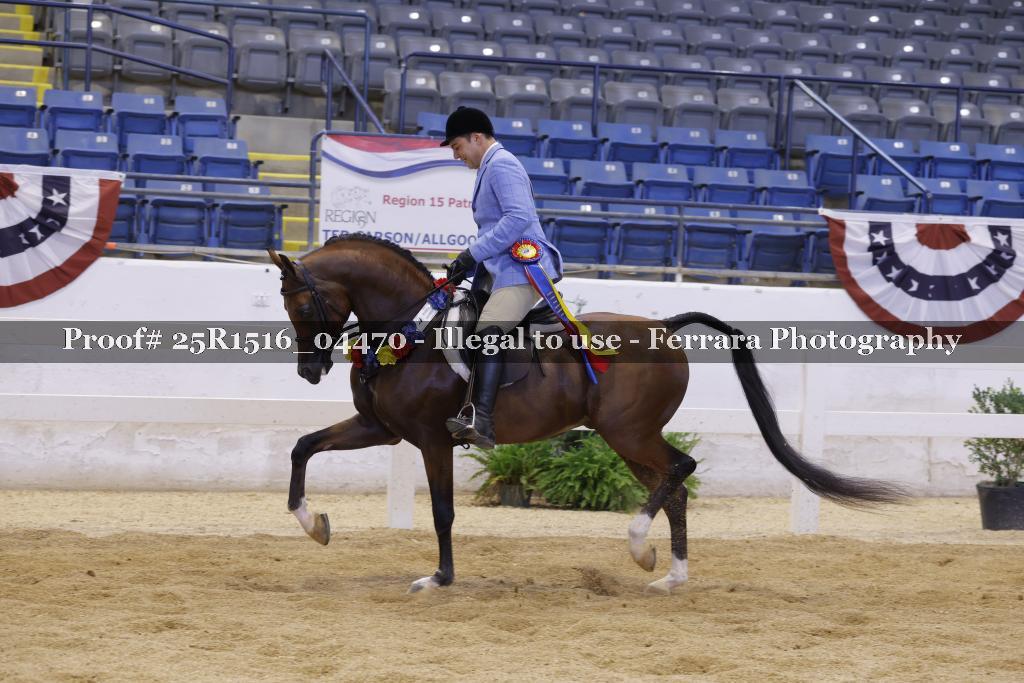 Proof 25R1516_04470