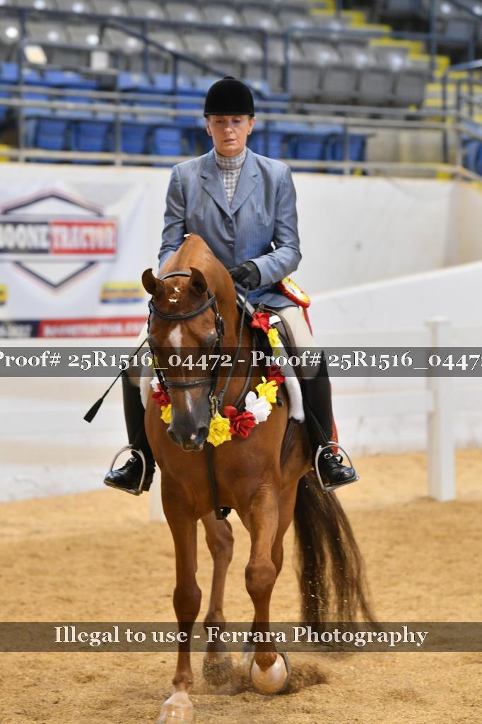 Proof 25R1516_04472