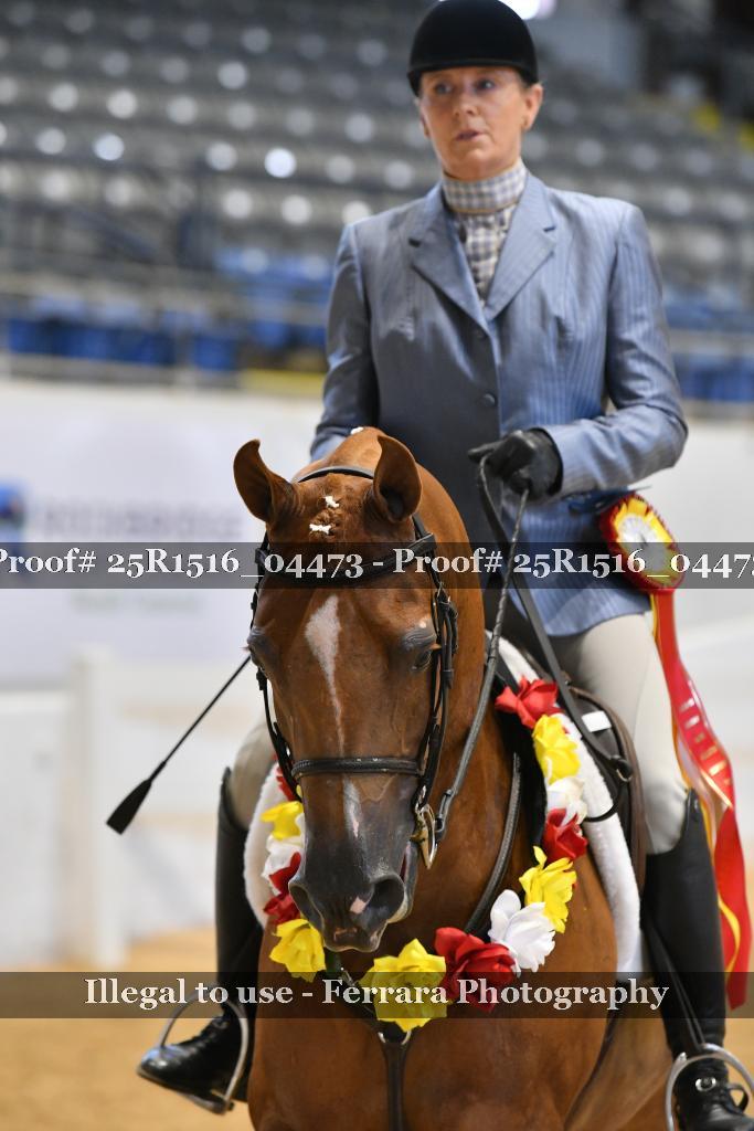 Proof 25R1516_04473