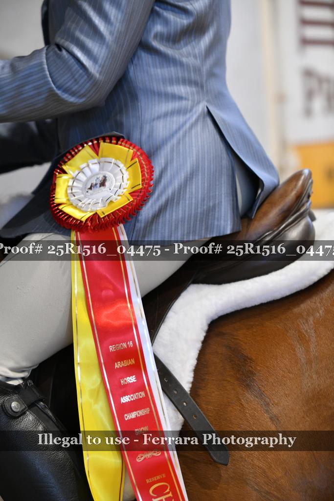 Proof 25R1516_04475