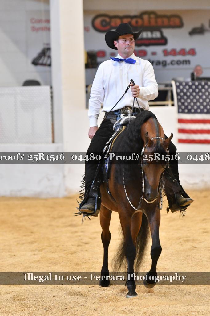 Proof 25R1516_04480