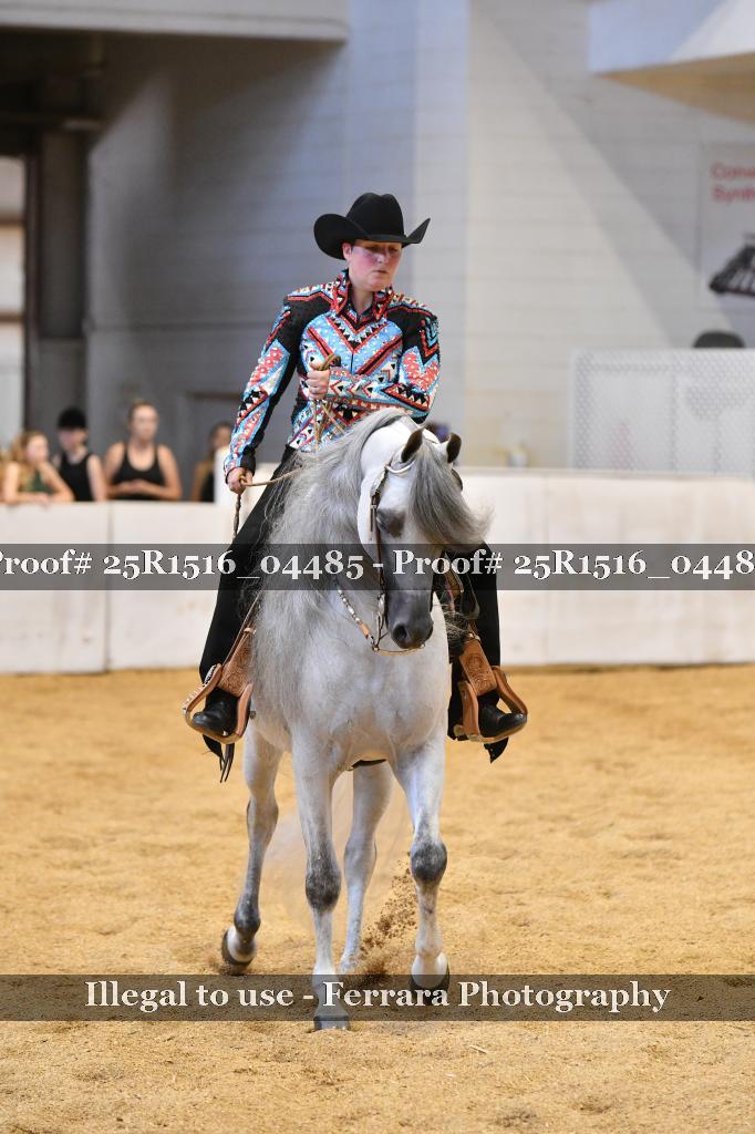 Proof 25R1516_04485